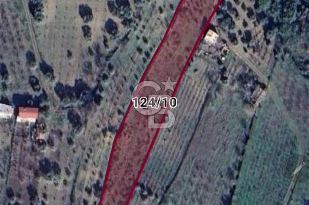 Manisa Yunusemre Turgutalp Karakoca Mevkii 4.109m2 Satılık Tarla