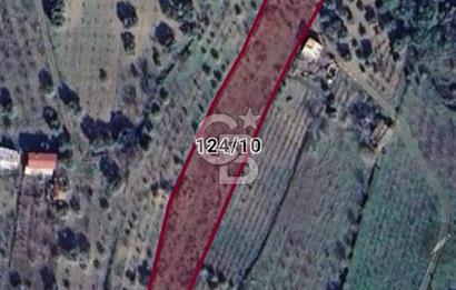 Manisa Yunusemre Turgutalp Karakoca Mevkii 4.109m2 Satılık Tarla