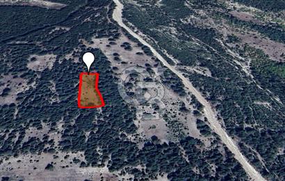 ÇAMLICA KÖYÜNDE DOĞA İLE BAŞ BAŞA 4003 M² TARLA