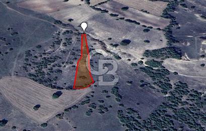 KARAKÖY KÖYÜNDE YATIRIMLIK 2759 M² TARLA