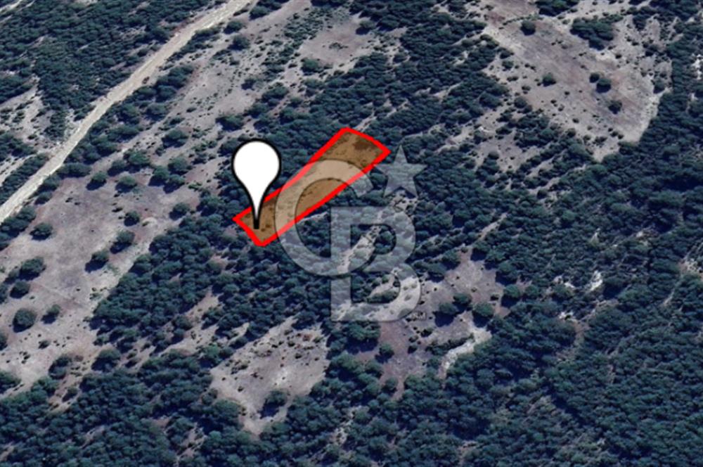 ÇAMLICA KÖYÜNDE DOĞA İLE BAŞ BAŞA 4003 M² TARLA