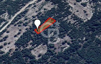 ÇAMLICA KÖYÜNDE DOĞA İLE BAŞ BAŞA 4003 M² TARLA