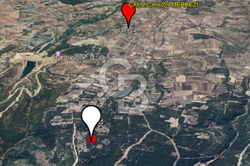 ÇAMLICA KÖYÜNDE DOĞA İLE BAŞ BAŞA 4003 M² TARLA