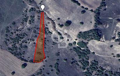 KARAKÖY KÖYÜNDE YATIRIMLIK 2759 M² TARLA