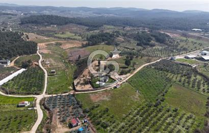 Torbalı Çamlıca’da Ruhsatlı, Havuzlu Müstakil Villa | Geniş Bahçeli