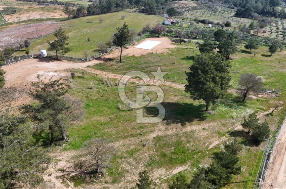 Torbalı Çamlıca’da Ruhsatlı, Havuzlu Müstakil Villa | Geniş Bahçeli