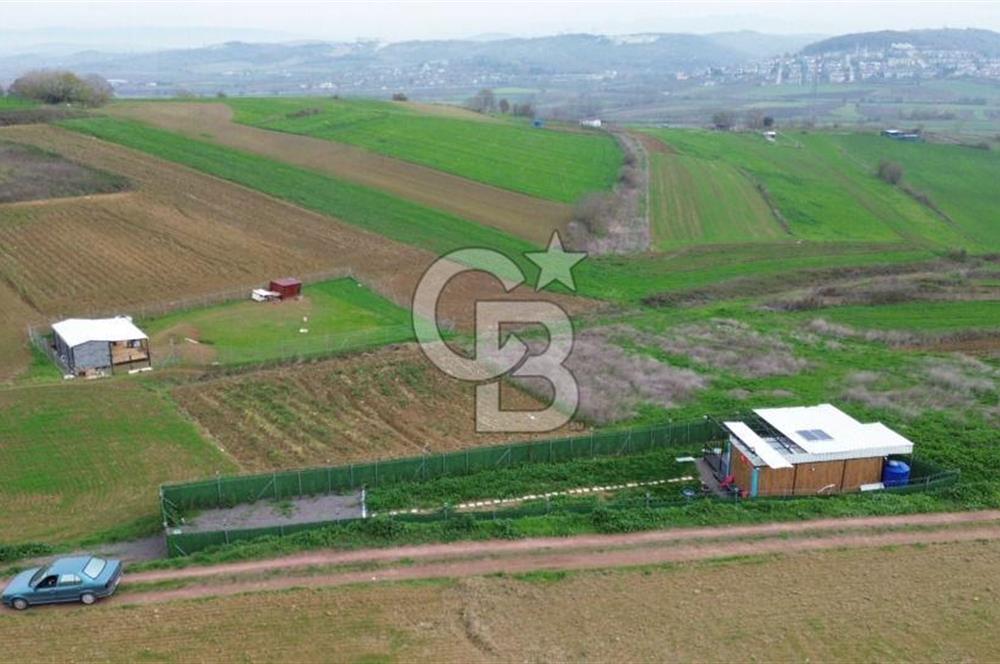 KAYRANCIKTA FULL DONANIMLI (GÜNEŞ PANELİ + AYDINLATMA) TARLA