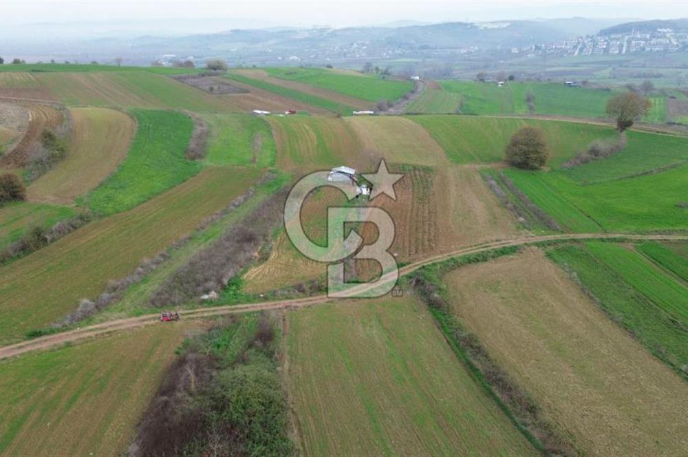 KAYRANCIKTA FULL DONANIMLI (GÜNEŞ PANELİ + AYDINLATMA) TARLA