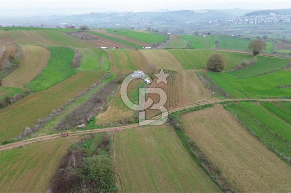 KAYRANCIKTA FULL DONANIMLI (GÜNEŞ PANELİ + AYDINLATMA) TARLA