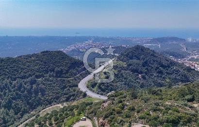 GÜMÜLDÜRDE DENİZ MANZARALI YOLA CEPHELİ 7 DÖNÜM ZEYTİNLİK