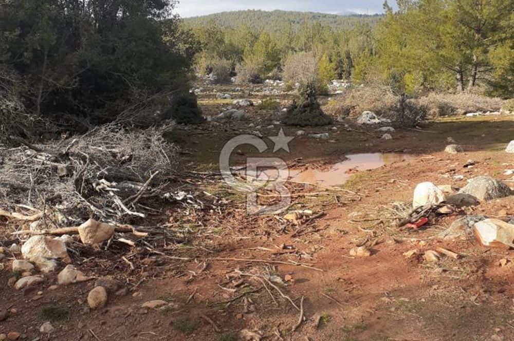 Yatağan Bencik Yeni’de 9.682m² Satılık Tarla