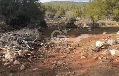 Yatağan Bencik Yeni’de 9.682m² Satılık Tarla