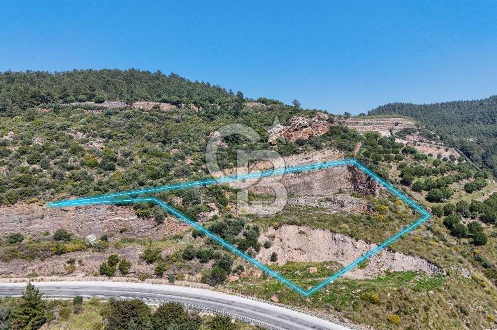 GÜMÜLDÜRDE DENİZ MANZARALI YOLA CEPHELİ 7 DÖNÜM ZEYTİNLİK