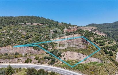 GÜMÜLDÜRDE DENİZ MANZARALI YOLA CEPHELİ 7 DÖNÜM ZEYTİNLİK