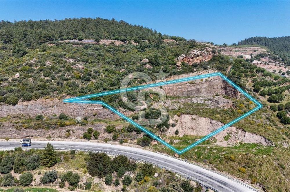 GÜMÜLDÜRDE DENİZ MANZARALI YOLA CEPHELİ 7 DÖNÜM ZEYTİNLİK