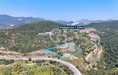 GÜMÜLDÜRDE DENİZ MANZARALI YOLA CEPHELİ 7 DÖNÜM ZEYTİNLİK