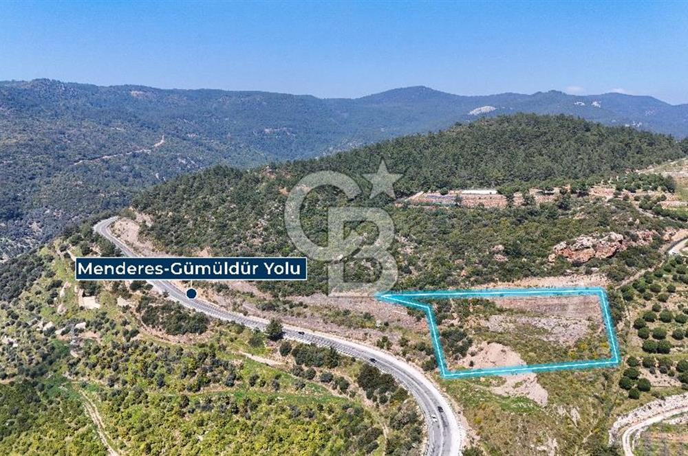 GÜMÜLDÜRDE DENİZ MANZARALI YOLA CEPHELİ 7 DÖNÜM ZEYTİNLİK