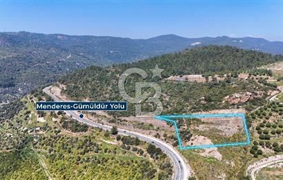 GÜMÜLDÜRDE DENİZ MANZARALI YOLA CEPHELİ 7 DÖNÜM ZEYTİNLİK