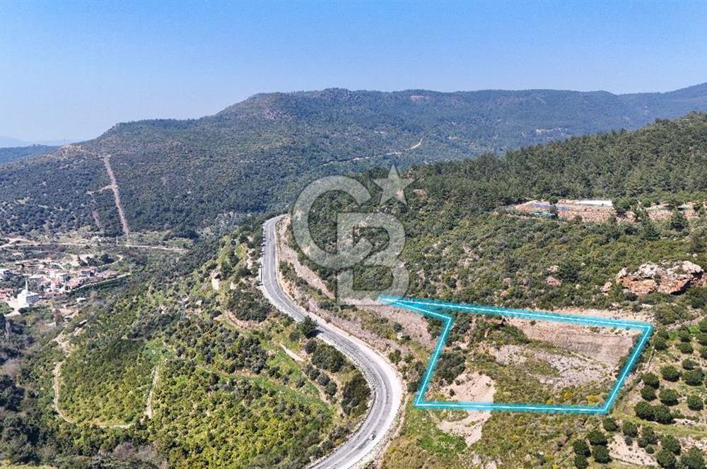 GÜMÜLDÜRDE DENİZ MANZARALI YOLA CEPHELİ 7 DÖNÜM ZEYTİNLİK