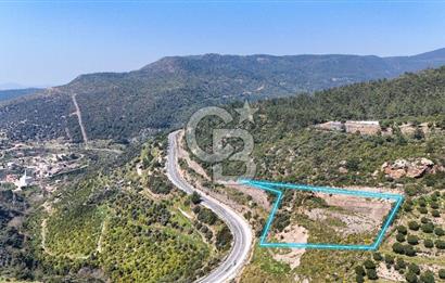 GÜMÜLDÜRDE DENİZ MANZARALI YOLA CEPHELİ 7 DÖNÜM ZEYTİNLİK