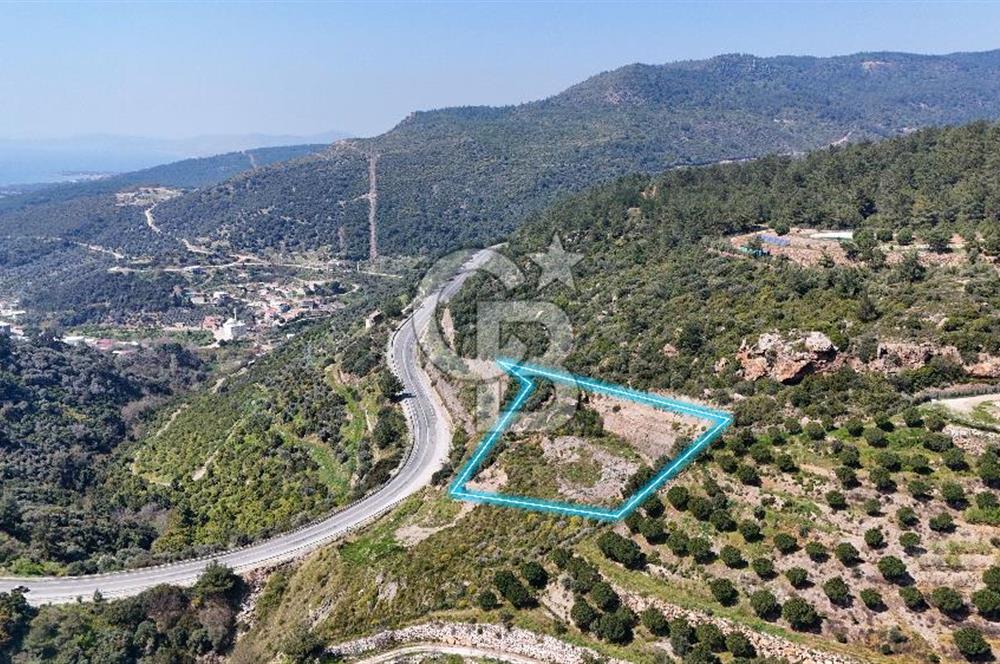 GÜMÜLDÜRDE DENİZ MANZARALI YOLA CEPHELİ 7 DÖNÜM ZEYTİNLİK