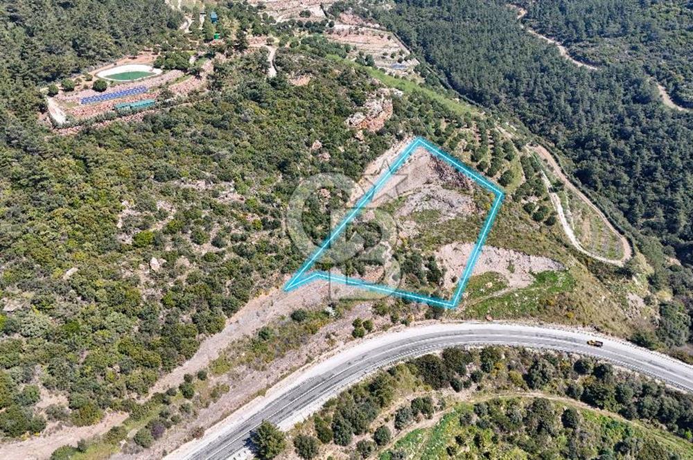 GÜMÜLDÜRDE DENİZ MANZARALI YOLA CEPHELİ 7 DÖNÜM ZEYTİNLİK