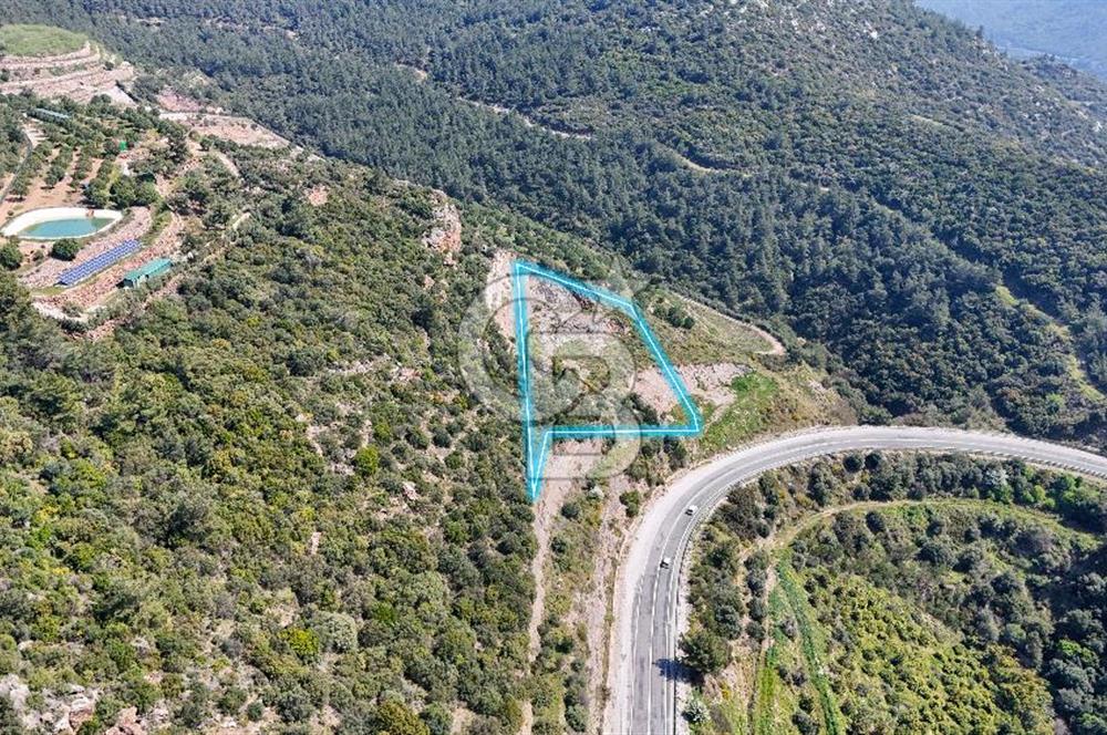 GÜMÜLDÜRDE DENİZ MANZARALI YOLA CEPHELİ 7 DÖNÜM ZEYTİNLİK