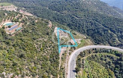 GÜMÜLDÜRDE DENİZ MANZARALI YOLA CEPHELİ 7 DÖNÜM ZEYTİNLİK