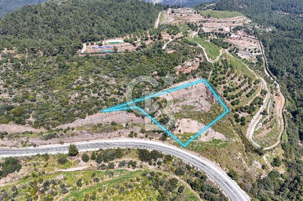 GÜMÜLDÜRDE DENİZ MANZARALI YOLA CEPHELİ 7 DÖNÜM ZEYTİNLİK