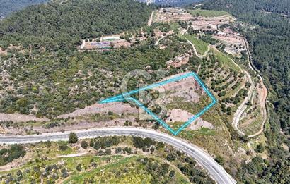 GÜMÜLDÜRDE DENİZ MANZARALI YOLA CEPHELİ 7 DÖNÜM ZEYTİNLİK