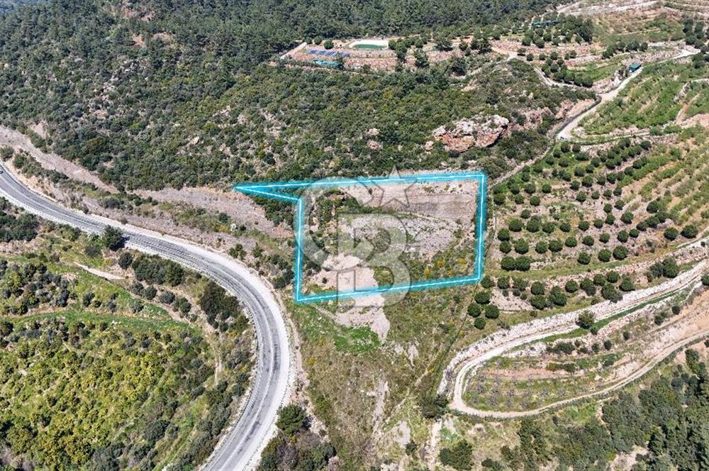 GÜMÜLDÜRDE DENİZ MANZARALI YOLA CEPHELİ 7 DÖNÜM ZEYTİNLİK