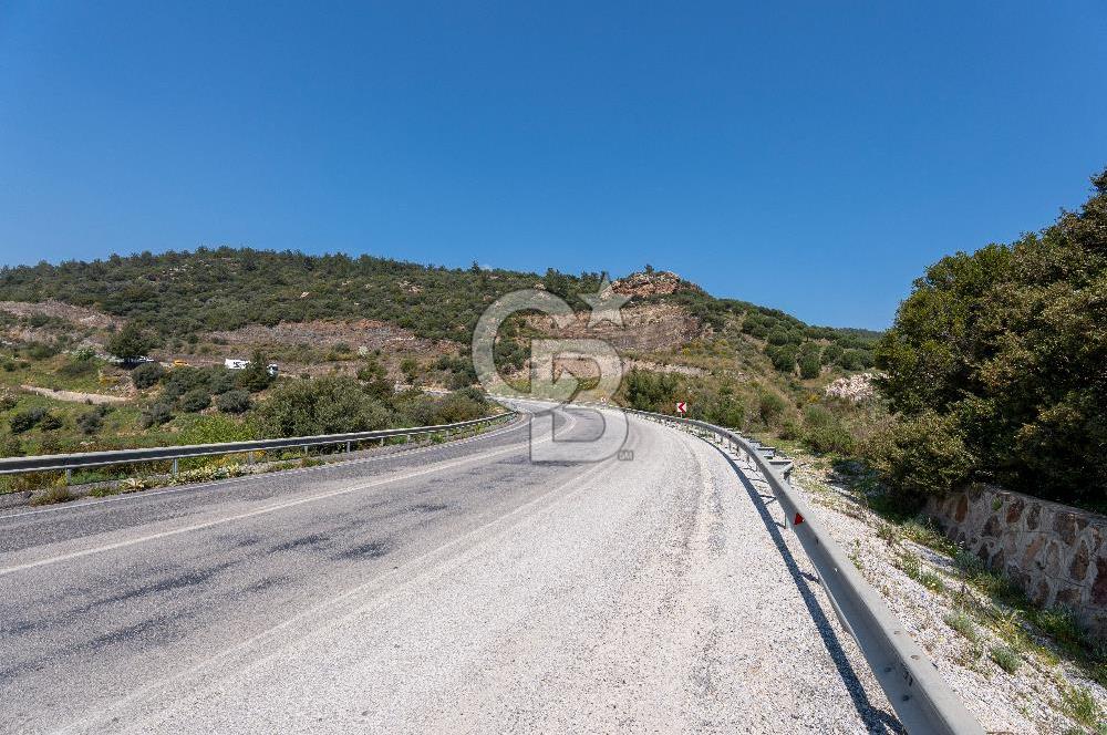 GÜMÜLDÜRDE DENİZ MANZARALI YOLA CEPHELİ 7 DÖNÜM ZEYTİNLİK