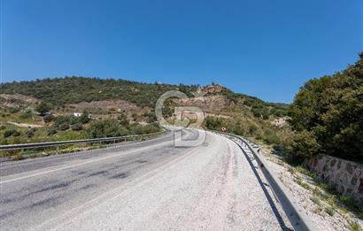 GÜMÜLDÜRDE DENİZ MANZARALI YOLA CEPHELİ 7 DÖNÜM ZEYTİNLİK