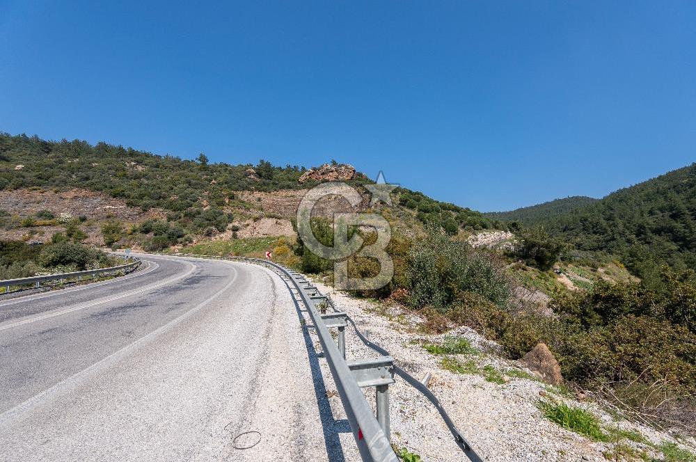 GÜMÜLDÜRDE DENİZ MANZARALI YOLA CEPHELİ 7 DÖNÜM ZEYTİNLİK