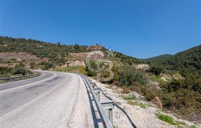 GÜMÜLDÜRDE DENİZ MANZARALI YOLA CEPHELİ 7 DÖNÜM ZEYTİNLİK