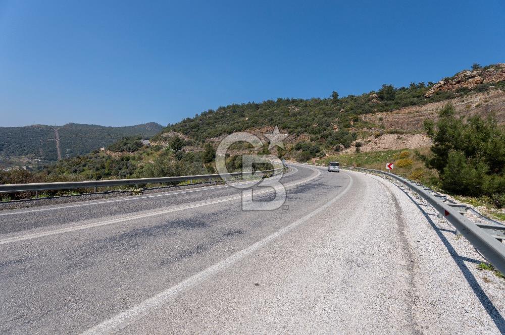 GÜMÜLDÜRDE DENİZ MANZARALI YOLA CEPHELİ 7 DÖNÜM ZEYTİNLİK