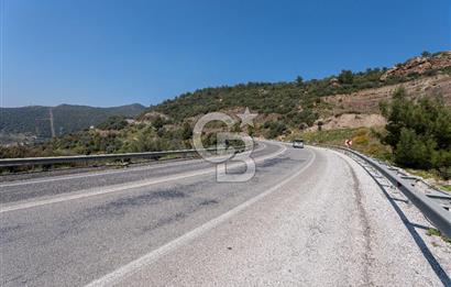GÜMÜLDÜRDE DENİZ MANZARALI YOLA CEPHELİ 7 DÖNÜM ZEYTİNLİK