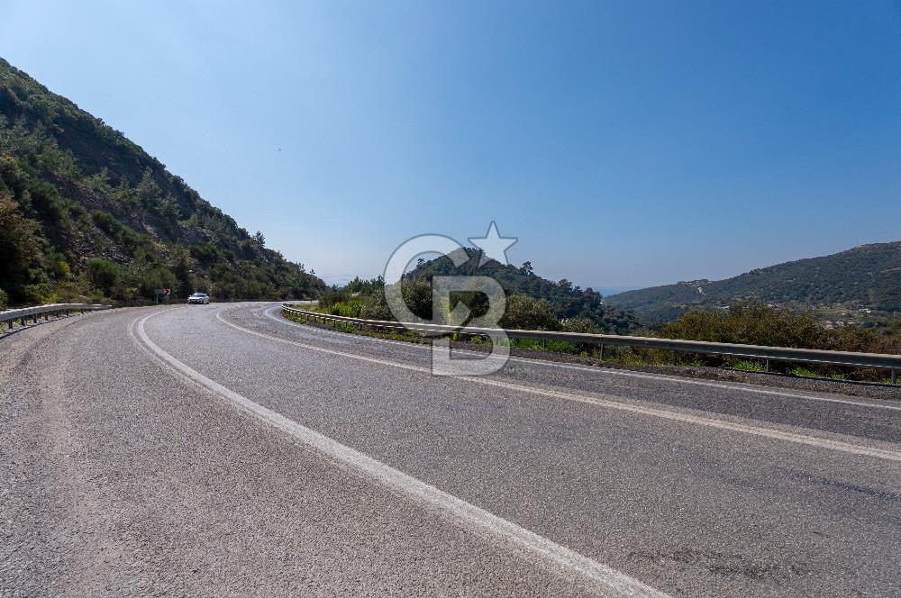 GÜMÜLDÜRDE DENİZ MANZARALI YOLA CEPHELİ 7 DÖNÜM ZEYTİNLİK