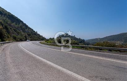 GÜMÜLDÜRDE DENİZ MANZARALI YOLA CEPHELİ 7 DÖNÜM ZEYTİNLİK