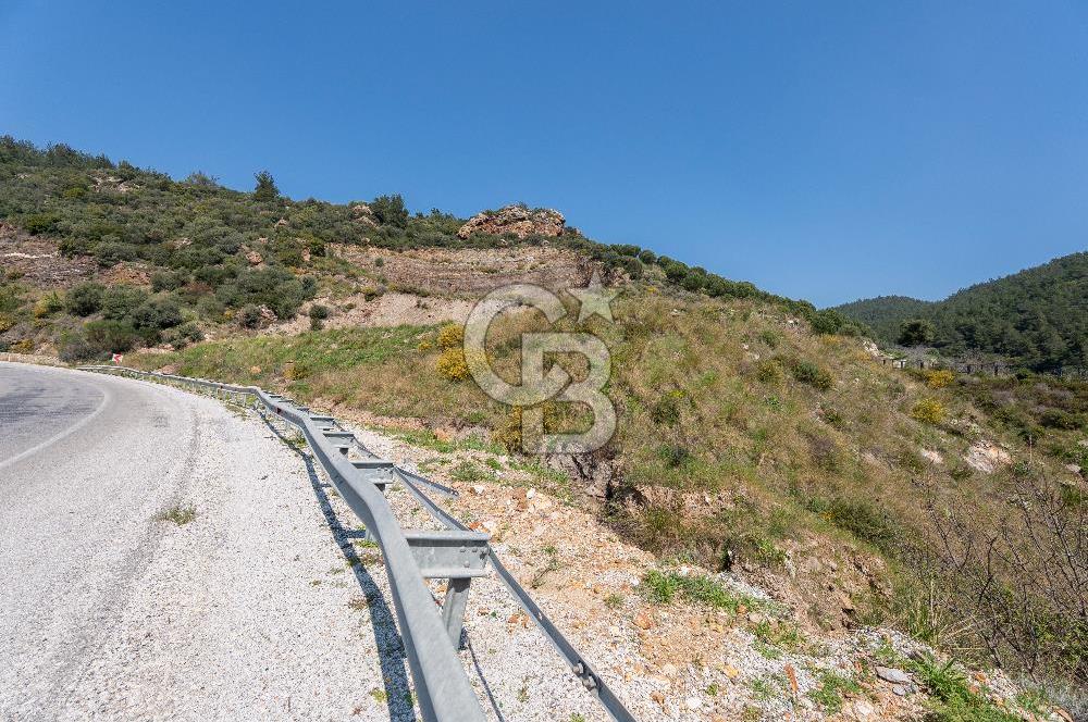 GÜMÜLDÜRDE DENİZ MANZARALI YOLA CEPHELİ 7 DÖNÜM ZEYTİNLİK