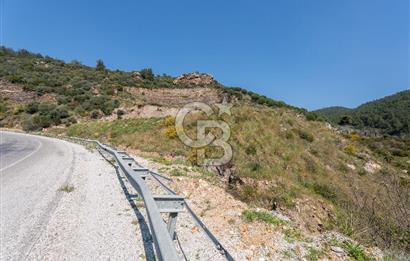 GÜMÜLDÜRDE DENİZ MANZARALI YOLA CEPHELİ 7 DÖNÜM ZEYTİNLİK