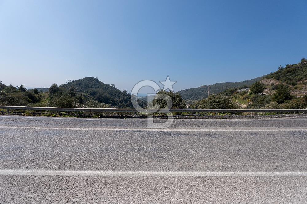 GÜMÜLDÜRDE DENİZ MANZARALI YOLA CEPHELİ 7 DÖNÜM ZEYTİNLİK