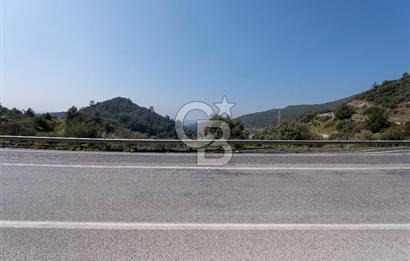 GÜMÜLDÜRDE DENİZ MANZARALI YOLA CEPHELİ 7 DÖNÜM ZEYTİNLİK