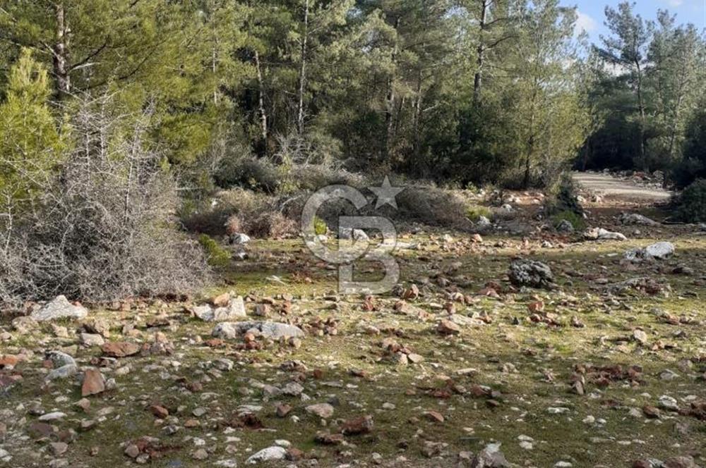 Yatağan Bencik Yeni’de 9.682m² Satılık Tarla