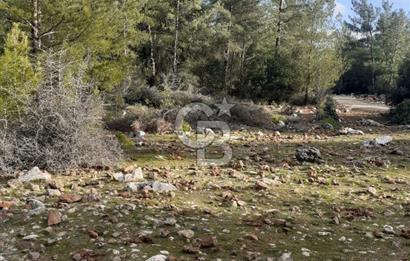 Yatağan Bencik Yeni’de 9.682m² Satılık Tarla