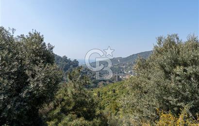 GÜMÜLDÜRDE DENİZ MANZARALI YOLA CEPHELİ 7 DÖNÜM ZEYTİNLİK