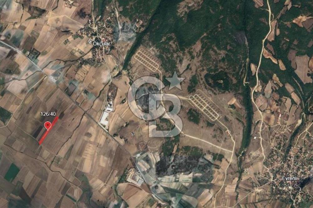 KIRKLARELİ VİZE OKÇULAR KÖYÜNDE YERİ BELLİ 633 m² SATILIK TARLA