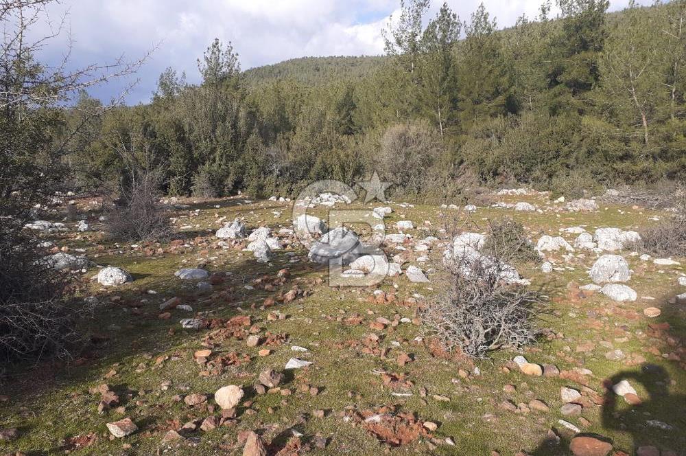 Yatağan Bencik Yeni’de 9.682m² Satılık Tarla