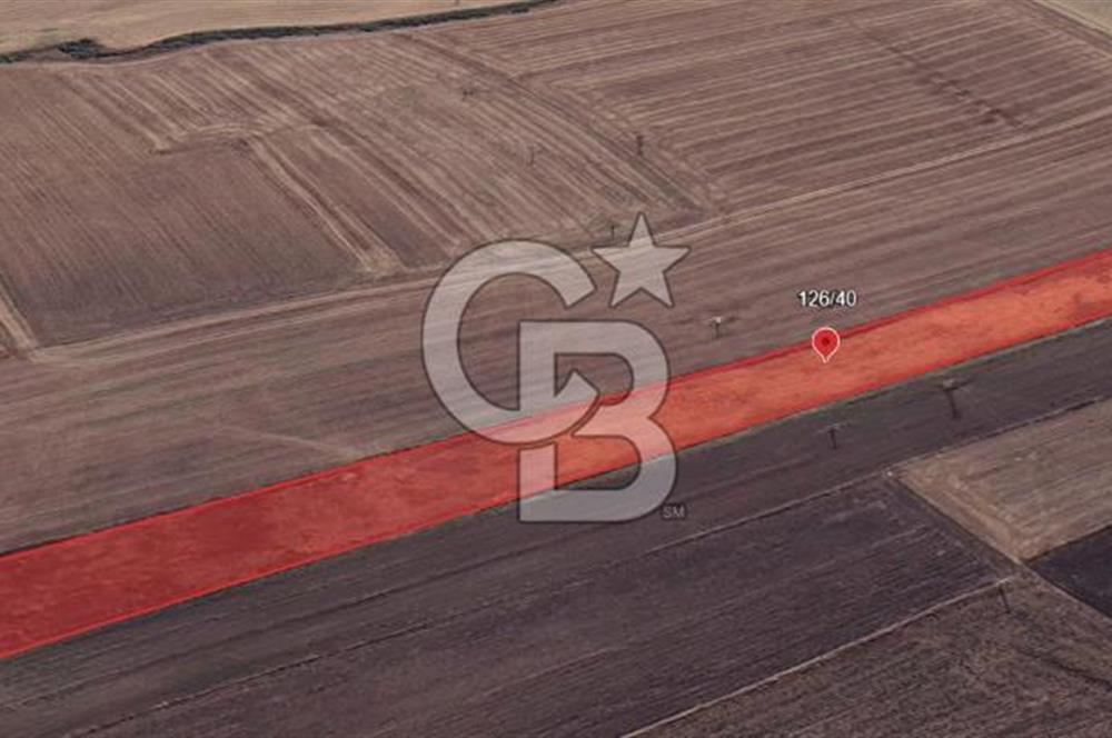 KIRKLARELİ VİZE OKÇULAR KÖYÜNDE YERİ BELLİ 633 m² SATILIK TARLA