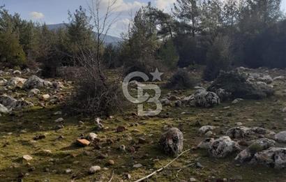 Yatağan Bencik Yeni’de 9.682m² Satılık Tarla